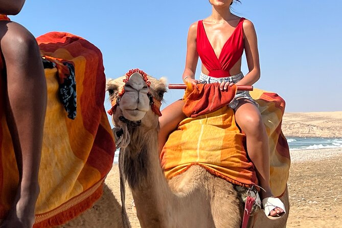 Sunset Camel Ride tour with Barbecue dinner in the beach - Who will enjoy this Tamri evening most