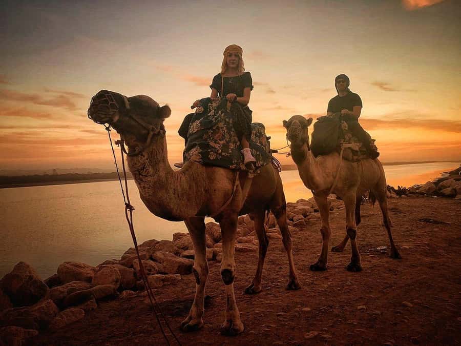 Sunset Camel Riding Including BBQ Dinner & Hotel Transfers - A relaxed sunset outing from Agadir