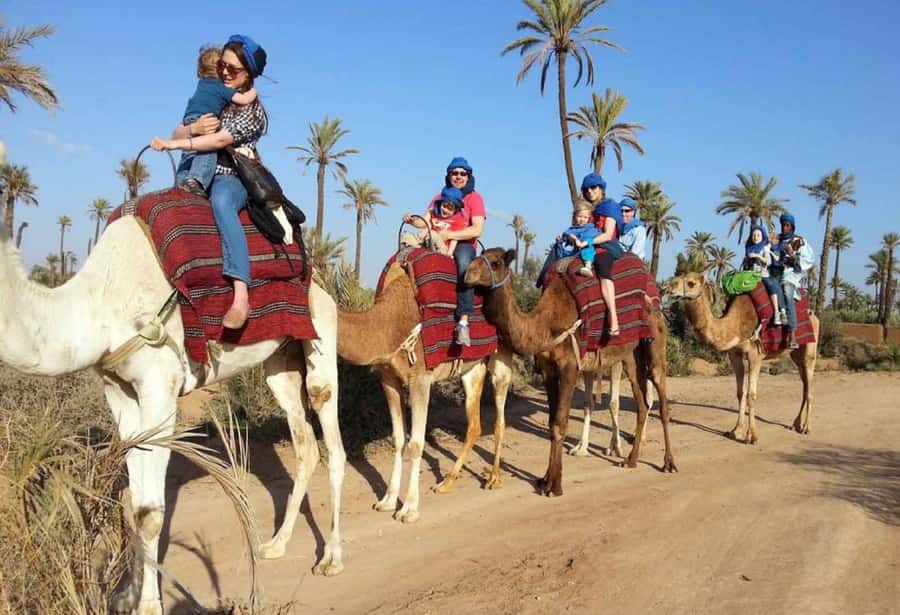 Sunset Camel Riding Including BBQ Dinner & Hotel Transfers - Pickup from Agadir or Taghazout