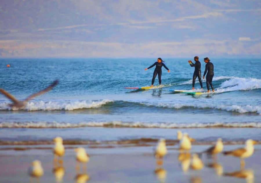 Surf Training and Lunch on Essaouira Day Trip from Marrakech - Who should book this day trip?