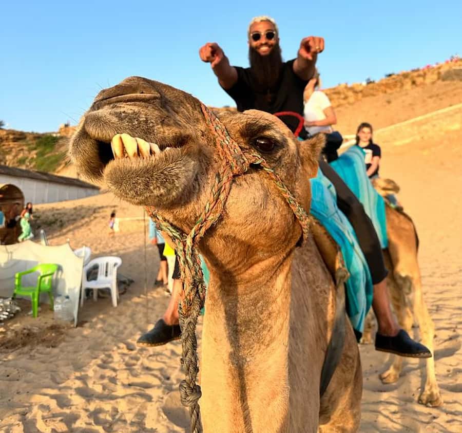 Tangier: Achakar Beach Sunset Camel Ride & Moroccan Dinner - The guides make a real difference