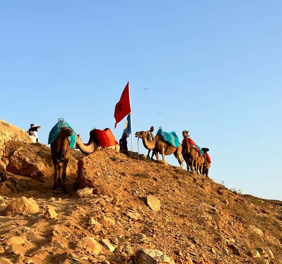 Tangier: Achakar Beach Sunset Camel Ride & Moroccan Dinner - From the Medina to Tangier’s western coast