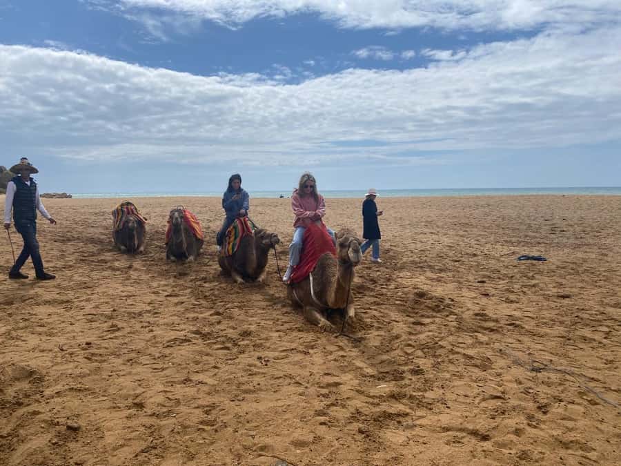 Tangier: Cap Spartel, Hercules Caves & Camel Riding - What the driver adds to the experience