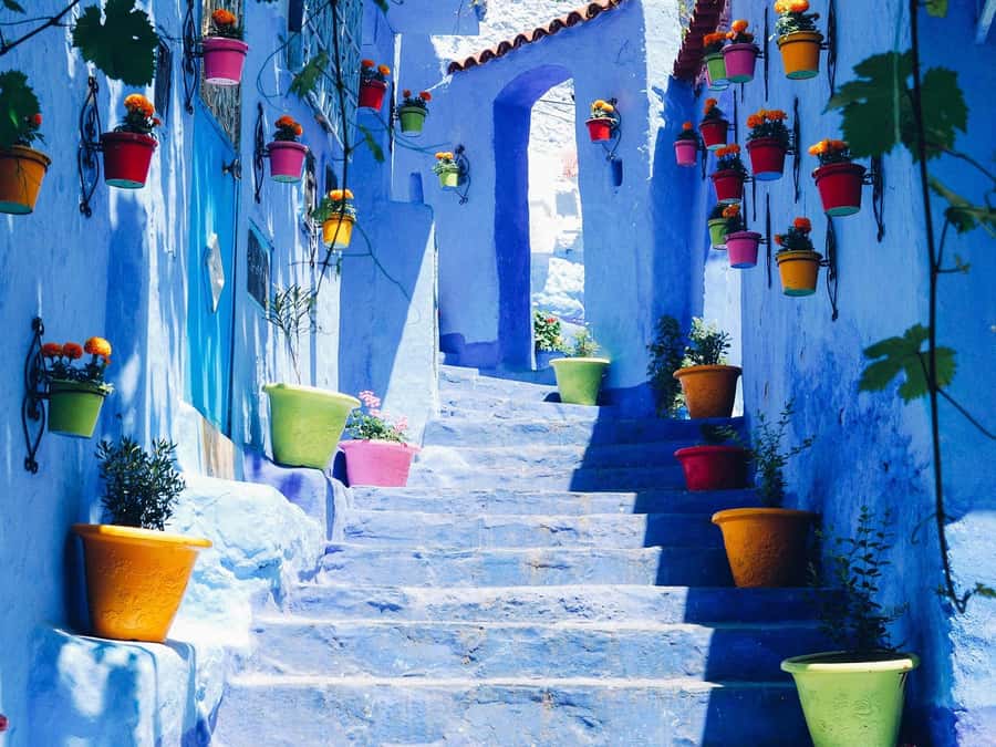 Tangier & Chefchaouen: 2-Day Tour From Casablanca By Train - What the guide service can mean for you