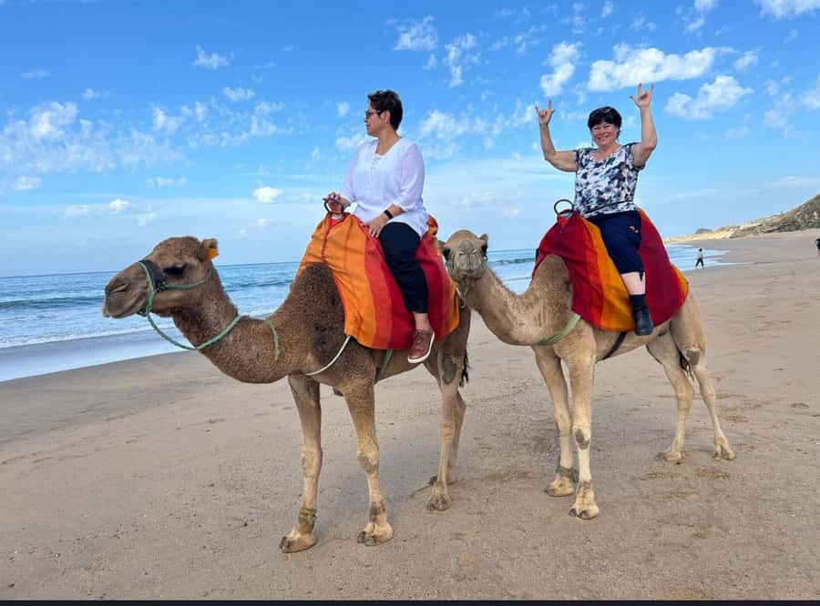 Tangier: Full-Day Private Sightseeing Tour with Camel Ride - Why this Tangier day works well