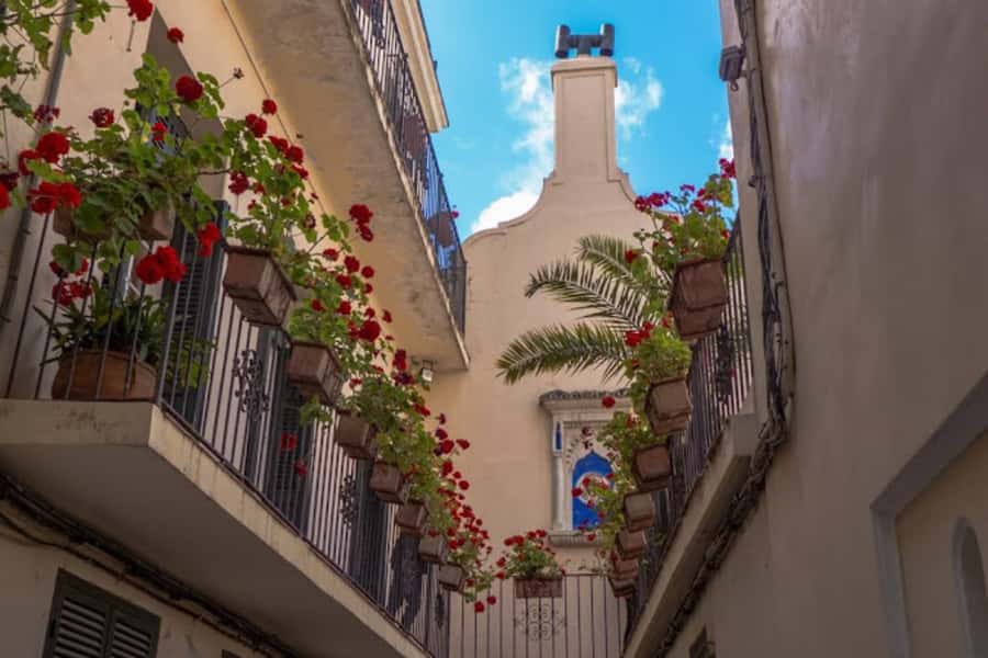 Tangier Half-Day Guided City Tour - Transport, timing, and how the four hours really feel