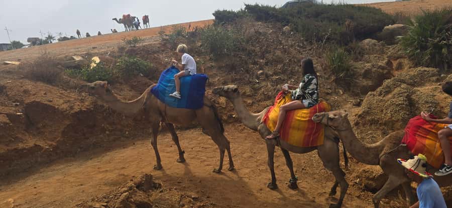 Tangier Private Tour: Explore And Camel Ride Adventure - Hercules Caves and the Atlantic edge