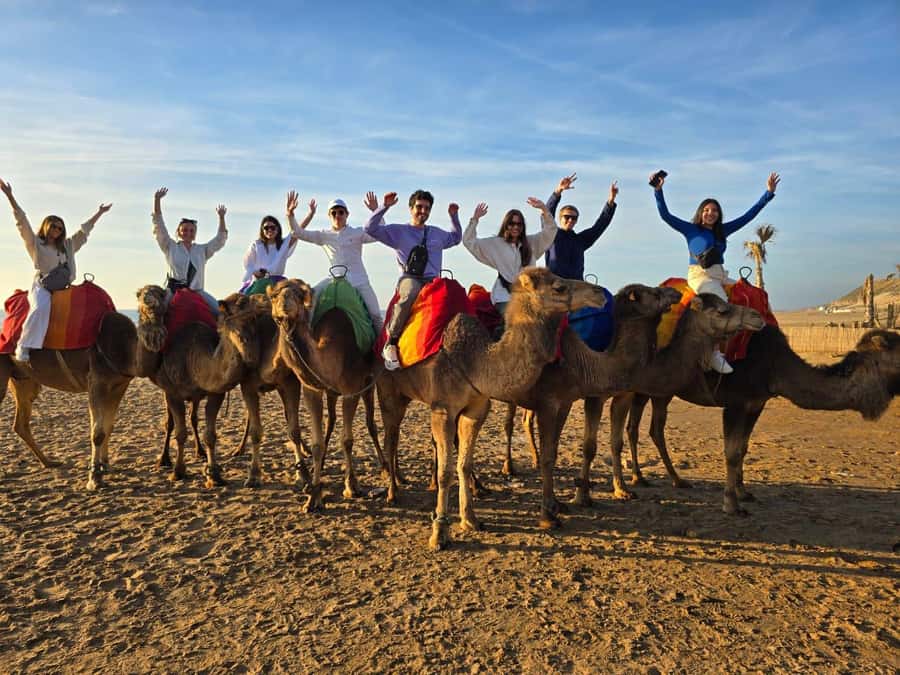 Tangier: sunset, tea, camel ride, Cape Spartel and caves. - The camel walk and the changing light