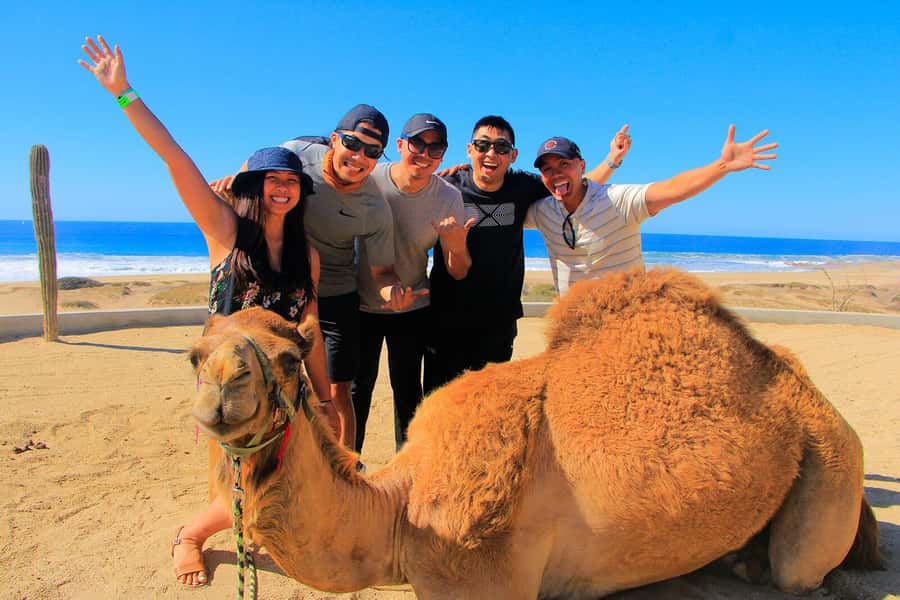 Tangier: sunset, tea, camel ride, Cape Spartel and caves. - Who will get the most from the $45 price
