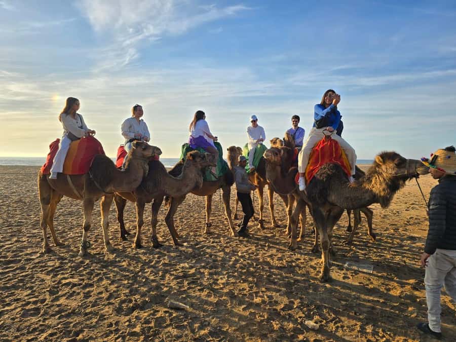 Tangier: sunset, tea, camel ride, Cape Spartel and caves. - Leaving Tangier by air-conditioned minivan