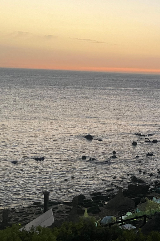 Tangier: Sunset, Tea, Sweets, Camel Ride, and Hercules Caves - Mint tea and Moroccan pastries at Bouhindiya