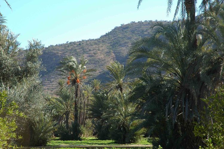 Taroudant and Tiout Oasis Trip With Lunch - Key points to know before you book
