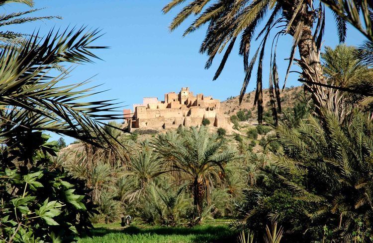 Taroudant and Tiout Oasis Trip With Lunch - Should you book the Taroudant and Tiout trip?