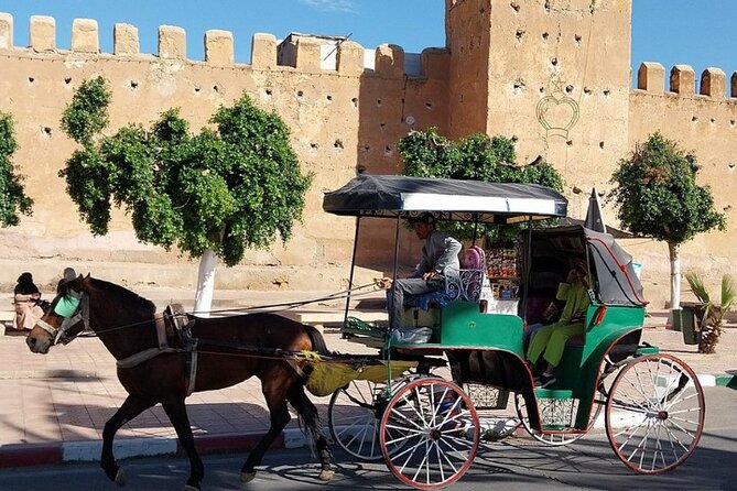 Taroudant & Tiout Day Trip Tour - Why Taroudant and Tiout work well together
