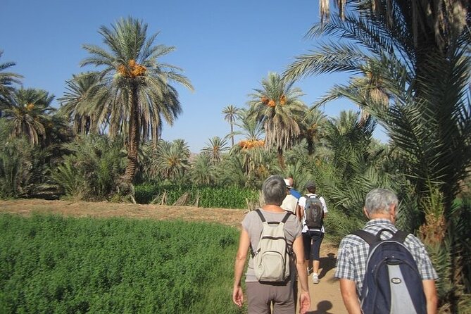 Taroudant & Tiout Day Trip Tour - The optional donkey ride