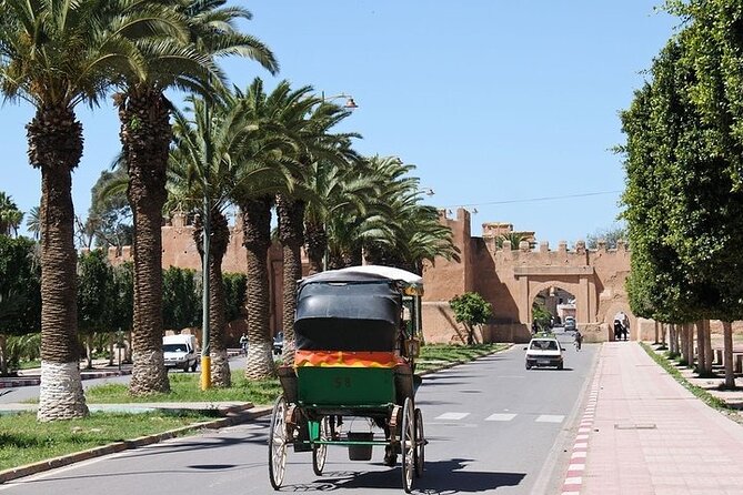 Taroudant & Tiout Day Trip Tour - Leaving Agadir at 8:30 in the morning