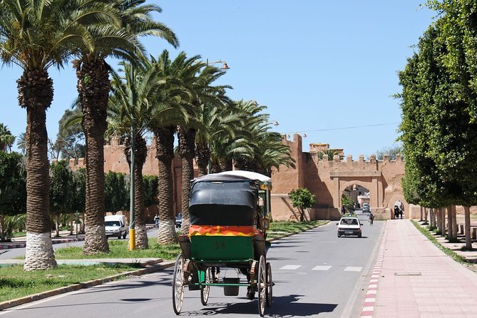 Taroudant + Tiout excursion 1 day with homestay lunch from agadir - Transport, group size, and the nine-hour rhythm