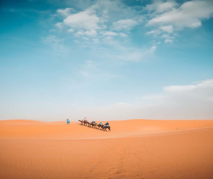 the luxury 2days 1night desert tour from fez to fez/marakech - Reaching the Sahara from Fez in only two days
