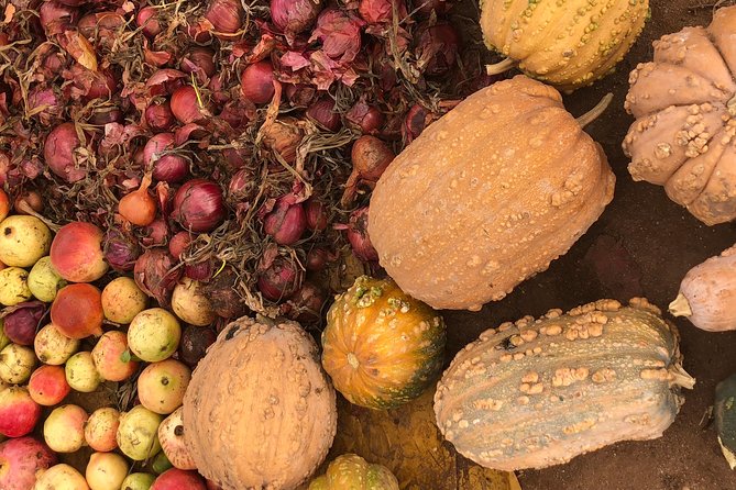 The Sunday Market in Had Draa & Local Food Tasting. - Who should book this experience
