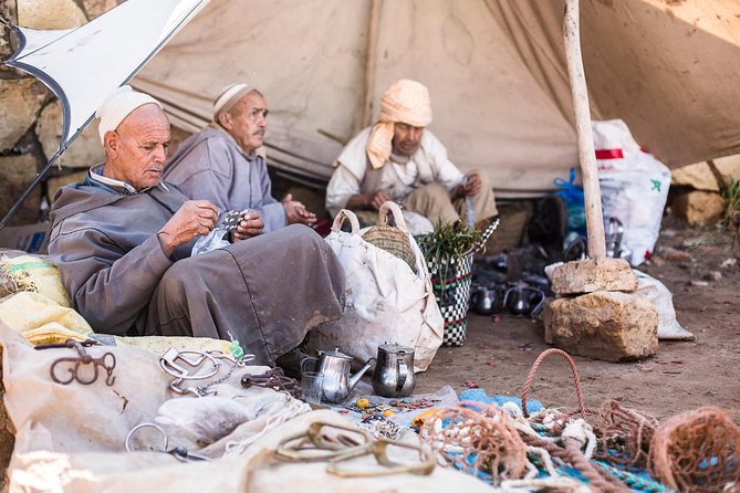 The Sunday Market in Had Draa & Local Food Tasting. - Should you book the Had Draa market tour?