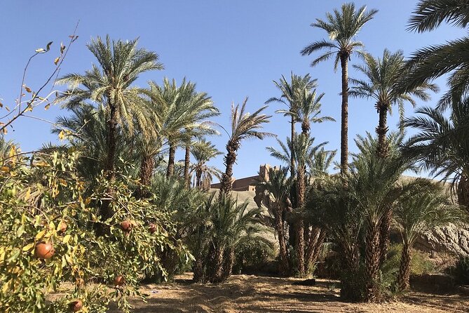 Tour from Ouarzazate to Vallee Du Draa and Dunes Of Tinfou - Following the Draa Valley back to Ouarzazate