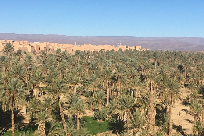 Tour from Ouarzazate to Vallee Du Draa and Dunes Of Tinfou - Who should book this day trip?