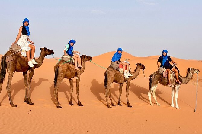 Tour from Ouarzazate to Vallee Du Draa and Dunes Of Tinfou - Should you book the Ouarzazate to Tinfou Dunes tour?