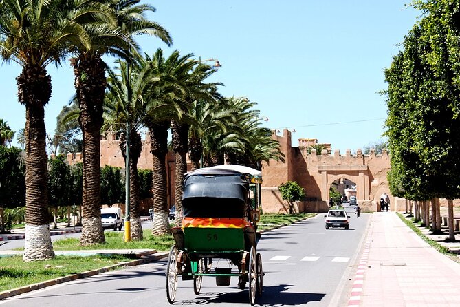 Visit Taroudant and Tiout 1 day From Agadir - Walking Taroudant’s old medina