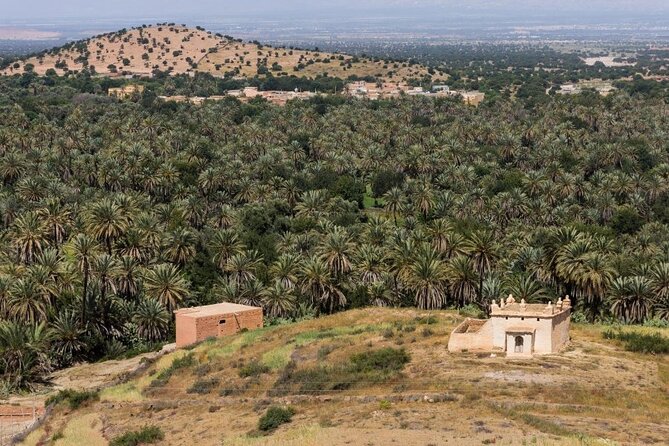 Visit Taroudant and Tiout 1 day From Agadir - Tiout’s palm oasis and hilltop kasbah