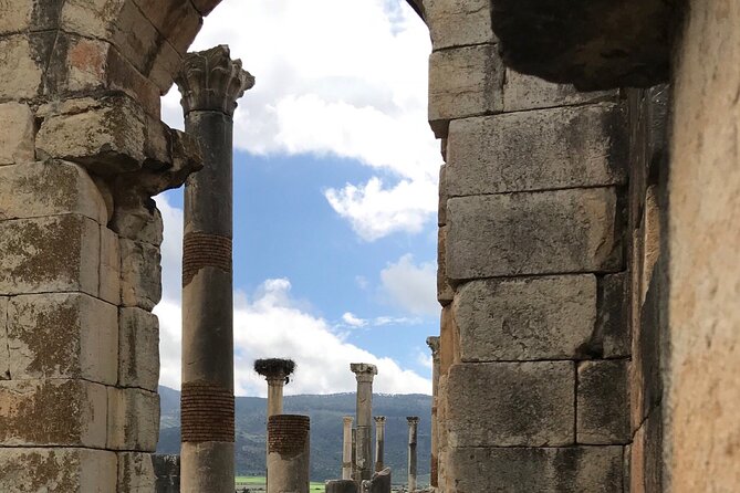 Volubilis, Moulay Idriss and Meknes Day Trip from Fez - Dar Jamai Museum and the value of extra time