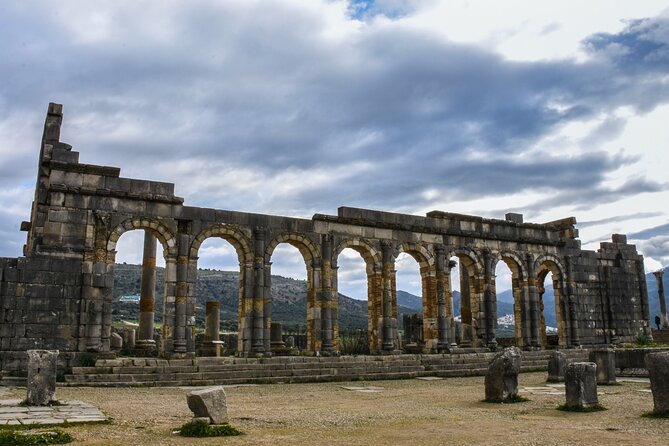 Volubilis, Moulay Idriss and Meknes Day Trip from Fez - What the driver adds to the experience