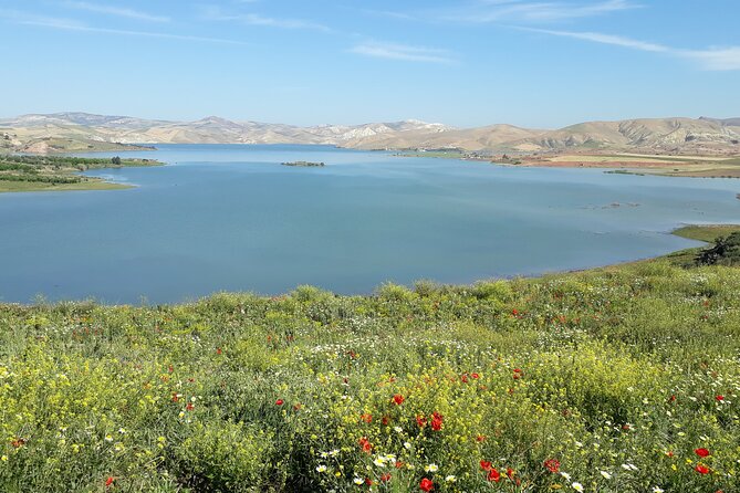 Volubilis, Moulay Idriss and Meknes Day Trip from Fez - Price, inclusions, and real value