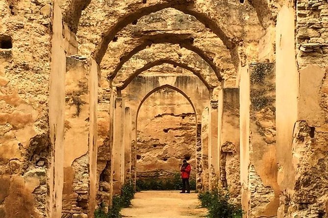 Volubilis, Moulay Idriss & Meknes Excursion from Fez - Meknes brings imperial scale, with some limits