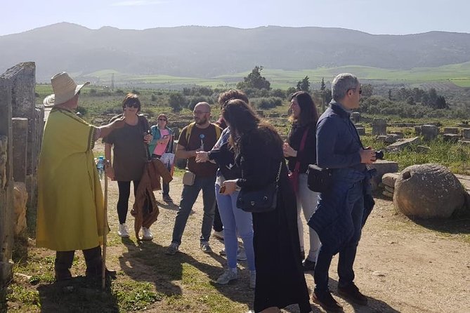 Volubilis mulay idriss and meknas tour - What the $23.23 Price Really Buys