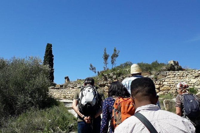 Volubilis mulay idriss and meknas tour - The Human Side of the Ride