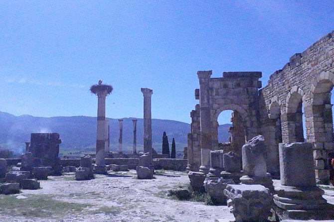 Volubilis mulay idriss and meknas tour - Four Hours Inside Imperial Meknes