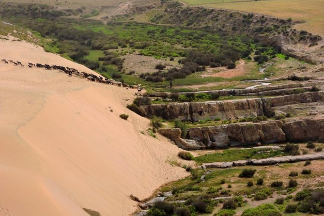 Walk between Argan Forest, Ocean & Waterfalls. 12 km - From argan trees to the Atlantic coast