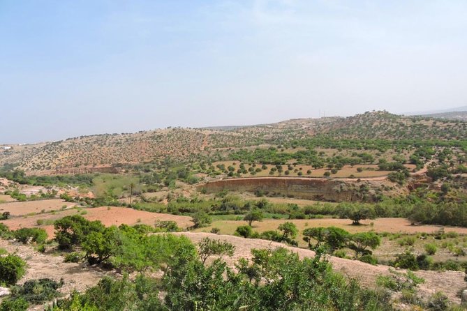 Walk between Argan Forest, Ocean & Waterfalls. 12 km - A closer look at the forest section
