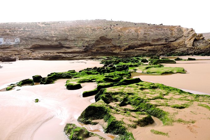 Walk between Argan Forest, Ocean & Waterfalls. 12 km - The dry waterfall at Sidi M’Barket