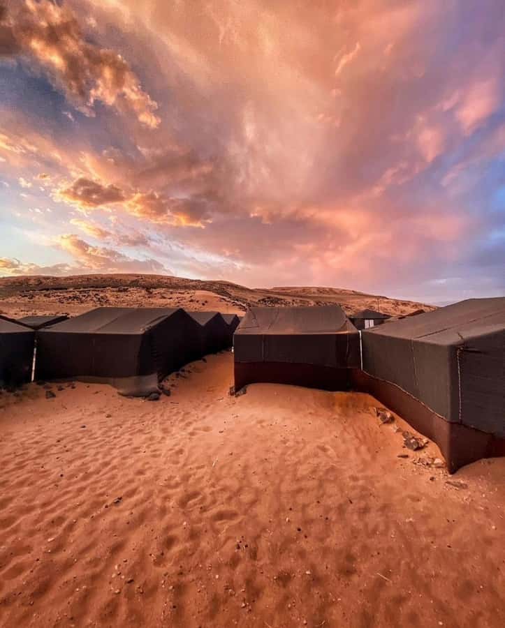 Zagora Desert: 2-Day 1-Night Desert Expedition to Remember - Key points to know before booking