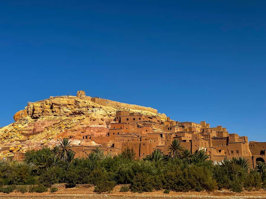 Zagora Desert: 2-Day 1-Night Desert Expedition to Remember - Who will enjoy this short desert trip