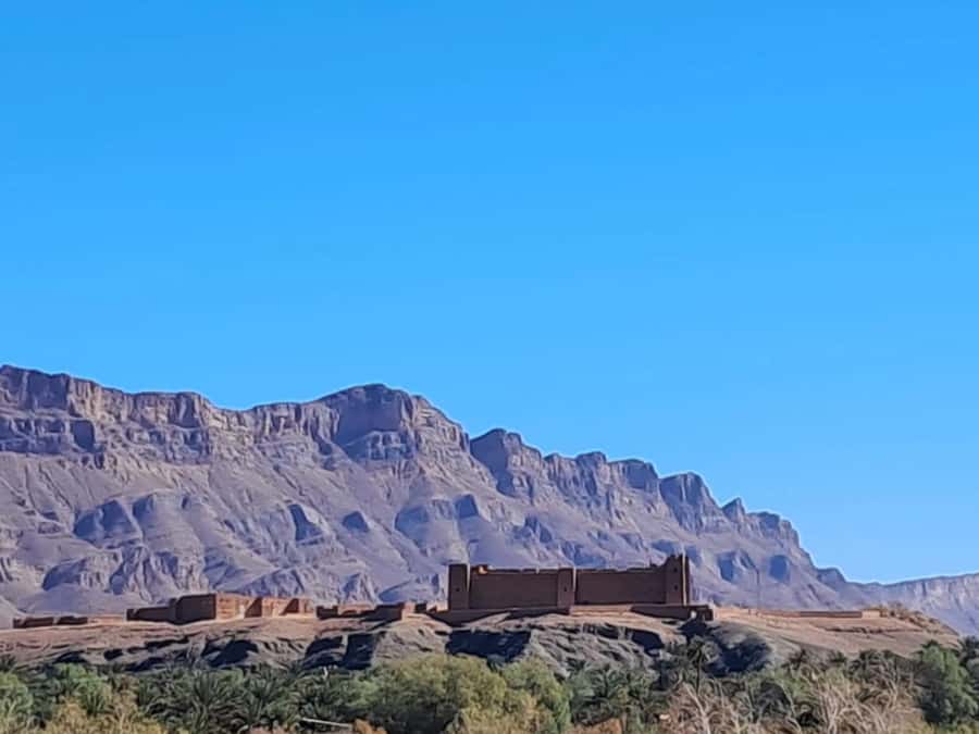 Zagora Desert: 2-Day 1-Night Desert Expedition to Remember - The camel ride into Zagora at sunset