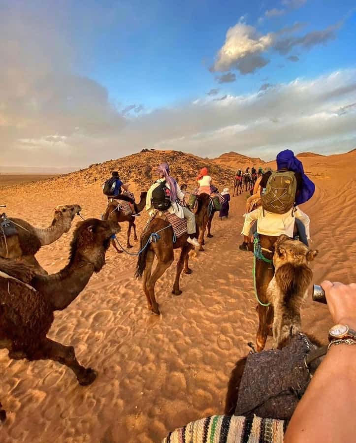 Zagora Desert: 2-Day 1-Night Desert Expedition to Remember - Day one from Marrakech to Ait Ben Haddou